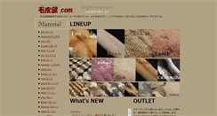 Desktop Screenshot of kegawaya.com