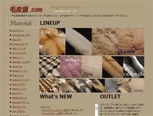 Tablet Screenshot of kegawaya.com